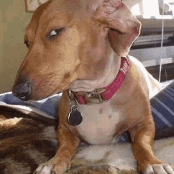 Meet your Posher, Mabor - Picture 1 of 1